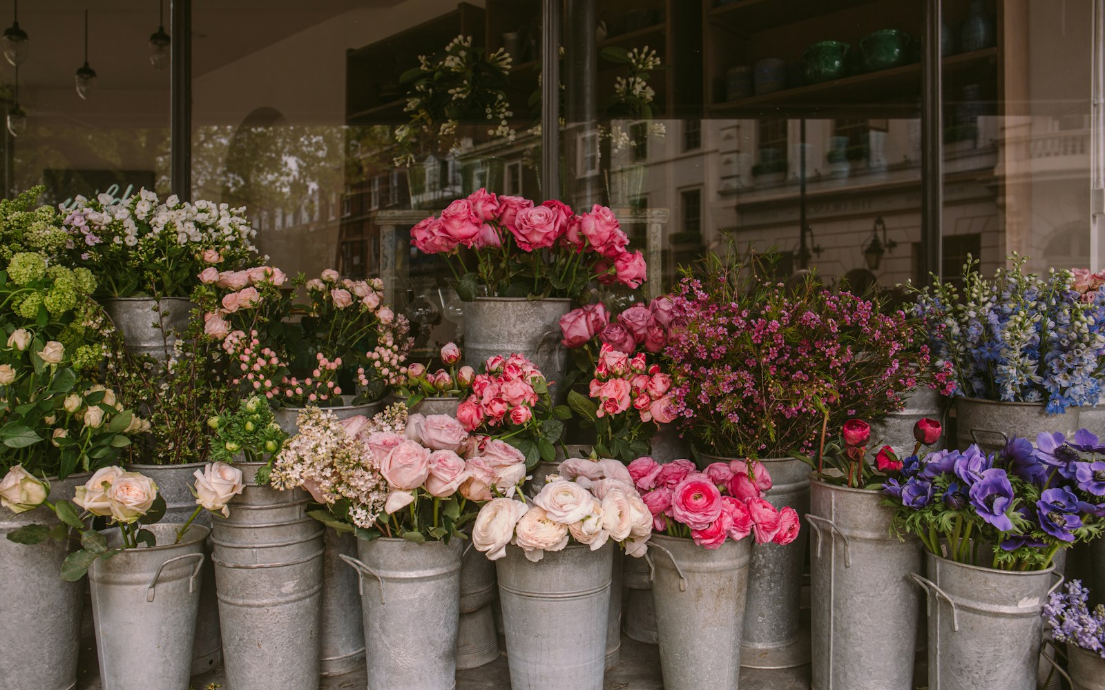 Fresh pink flowers displayed in a flower shop